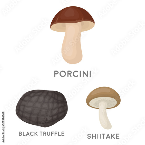 Poisonous and edible mushroom cartoon icons in set collection for design. Different types of mushrooms vector symbol stock web illustration.