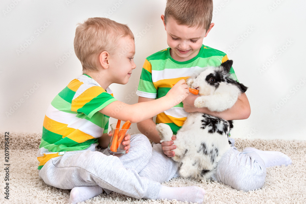 Two brothers feed their beloved rabbit with a carrot. Two brothers feed their beloved rabbit with a carrot.