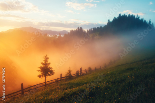 Fototapeta Naklejka Na Ścianę i Meble -  Mountain valley during sunrise. Amazing nature scene glowing by sunlight. Located place: Carpathians, Ukraine, Europe