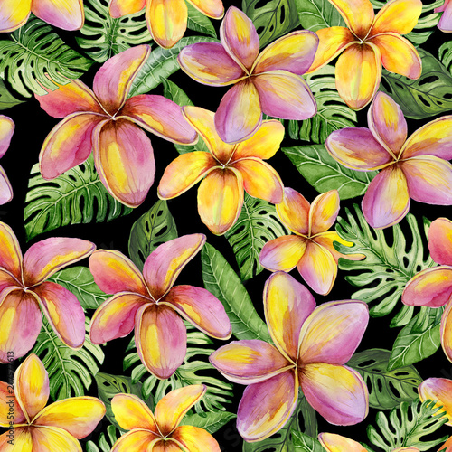 Exotic plumeria flowers and green monstera leaves on white background. Seamless tropical pattern in vivid colors. Watercolor painting. Hand painted floral illustration.