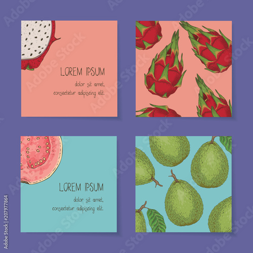 Fruit Business Cards Template Collection