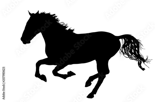 Elegant horse in gallop  vector silhouette illustration. Horse race  isolated on white background. 