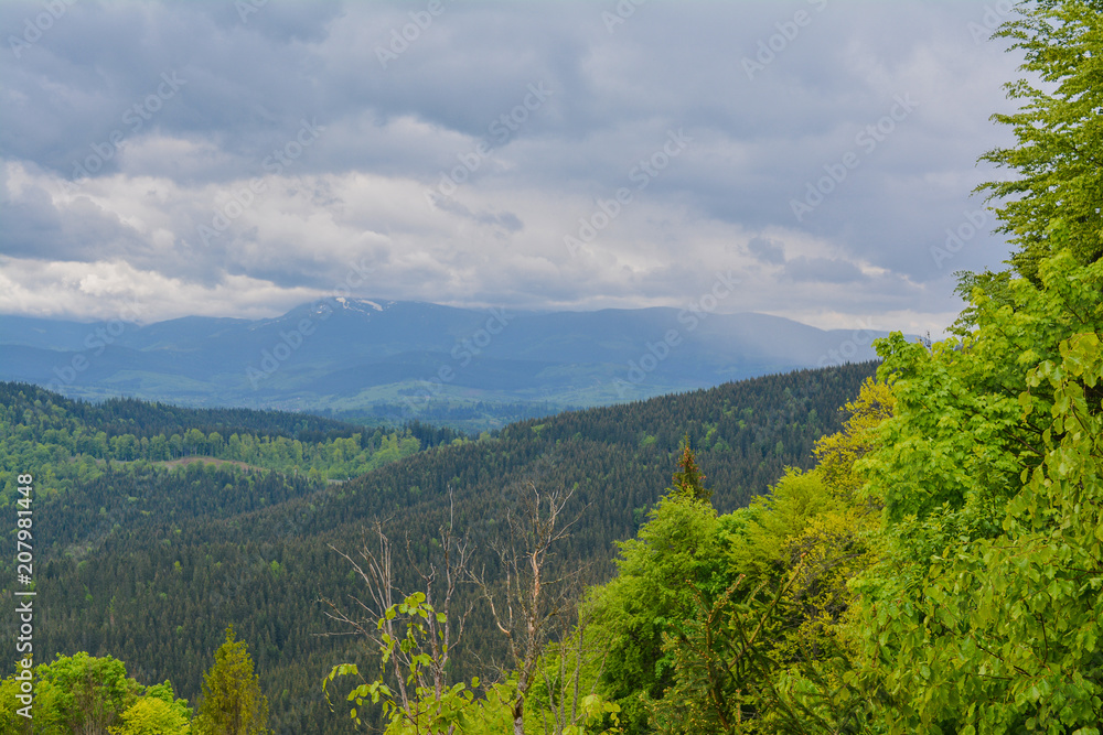 Ukrainian Carpathians - a mountain landscape.