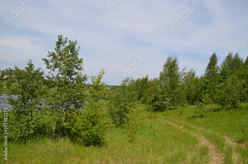 landscape Russia river forest