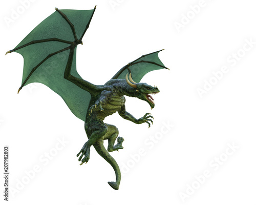 green dragon in a white background © DM7