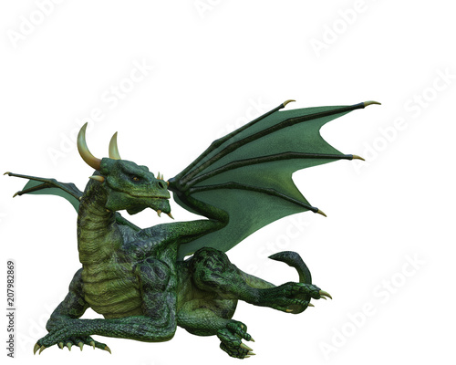 green dragon in a white background © DM7