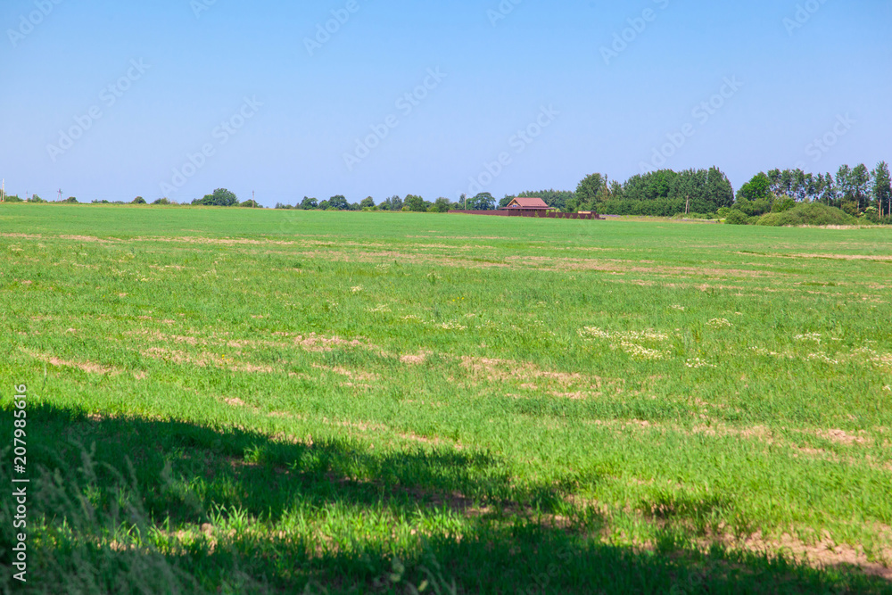 green meadow, forest and small house under the blue sky green meadow, forest and small house under the blue sky