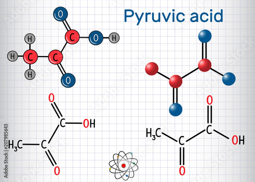 Pyruvic acid (pyruvate) molecule. It is the simplest of the alpha-keto acids. Structural chemical formula and molecule model. Sheet of paper in a cage