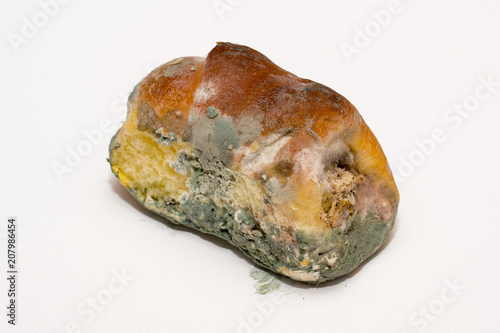 Bread with a mold isolated on white background. Parasite.