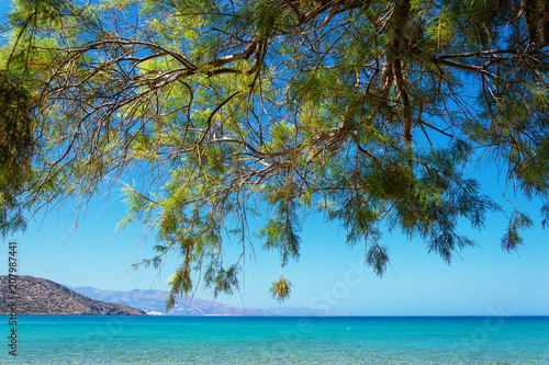 Fototapeta Naklejka Na Ścianę i Meble -  Tropical beach with tamarisk and turquoise water in Istron, Crete, Greece
