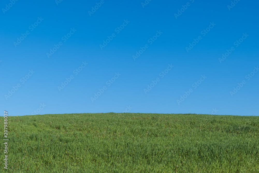 Simple landscape with green meadow and clear light blue sky. Simple landscape with green meadow and clear light blue sky.