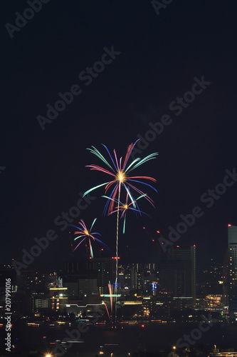 新子安から見た横浜開港祭花火 © ziggy