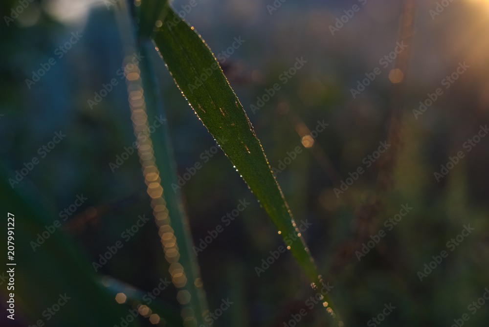 abstract background with bokeh defocused lights and shadow. abstract background with bokeh defocused lights and shadow.