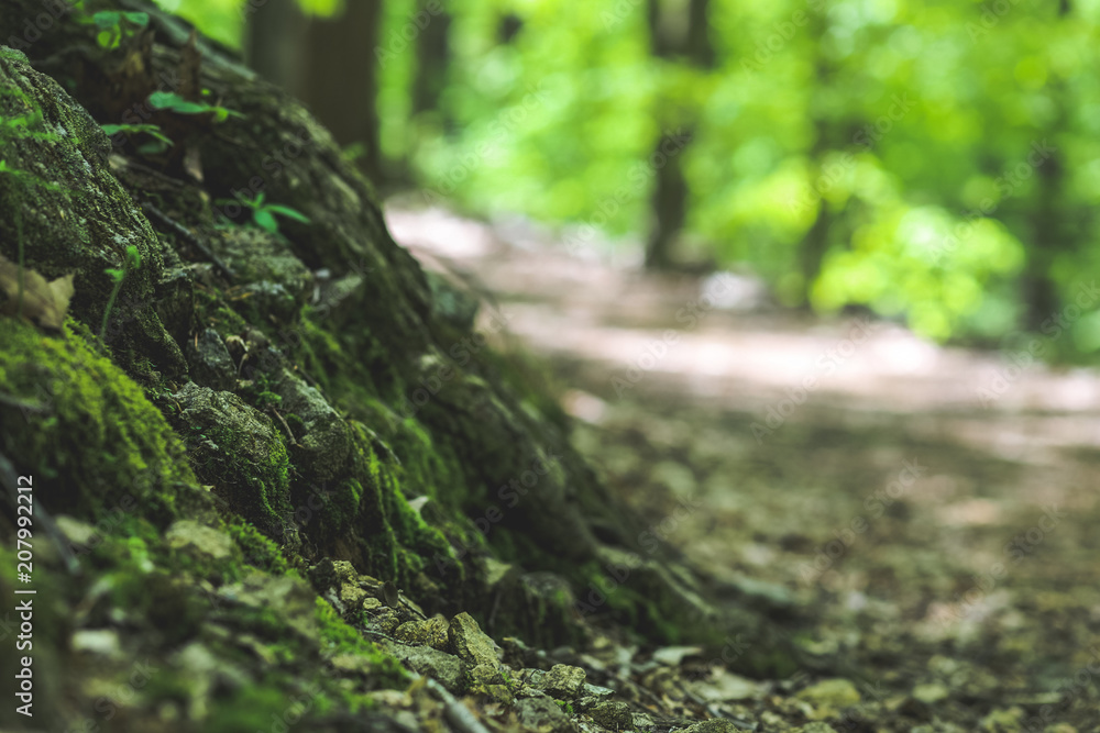 Bikers-Trail Bikers-Trail
