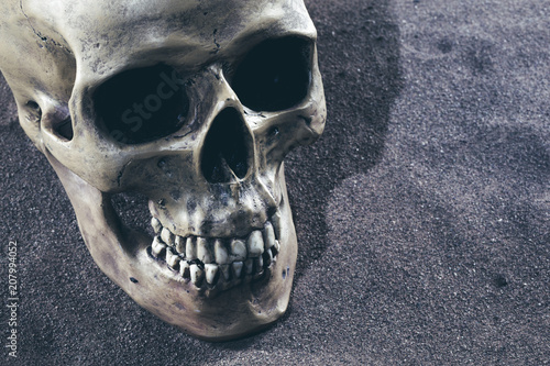 Human pirate skull