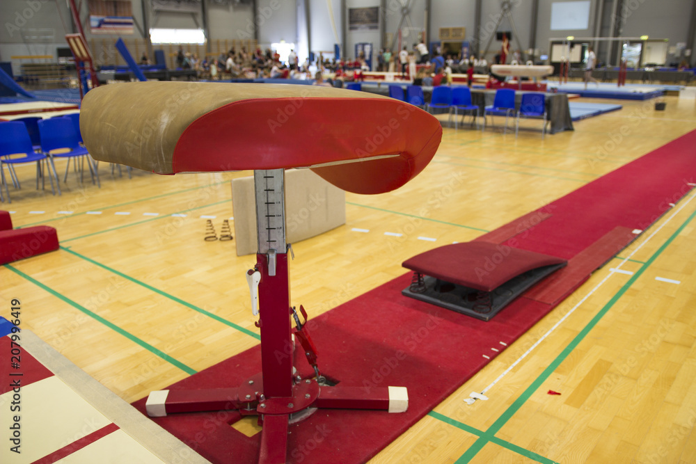 Naklejka premium Gymnastic equipment in a gymnastic center 
