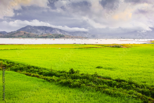 stunning scenery with green rice fields and a lake with fishing boats in the background   Vietnam