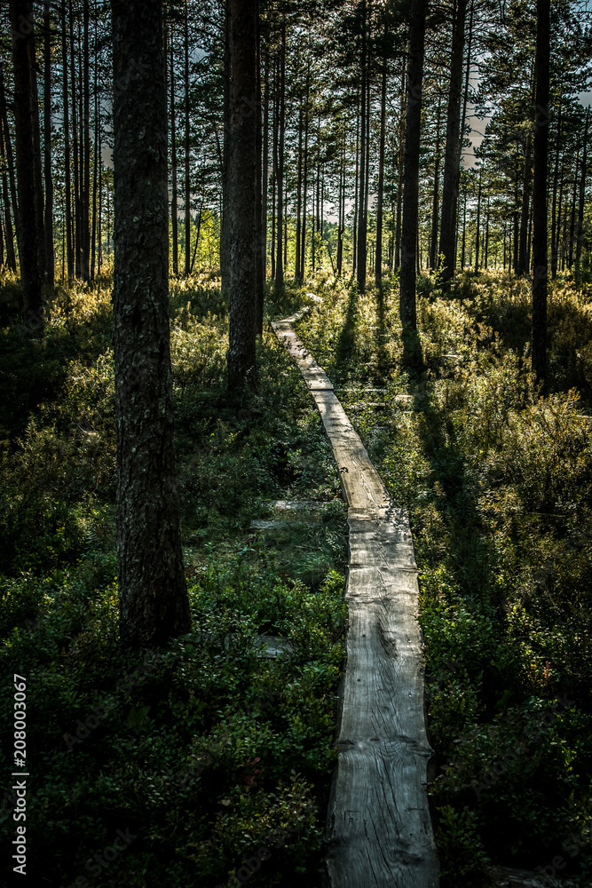 Obraz premium Naturepath