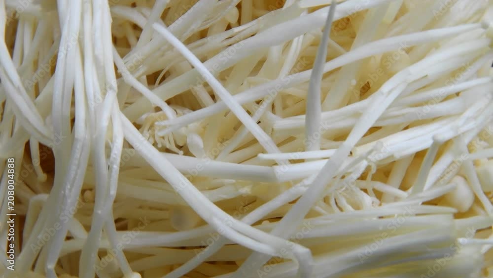 enoki mushrooms rotation enoki mushrooms rotation