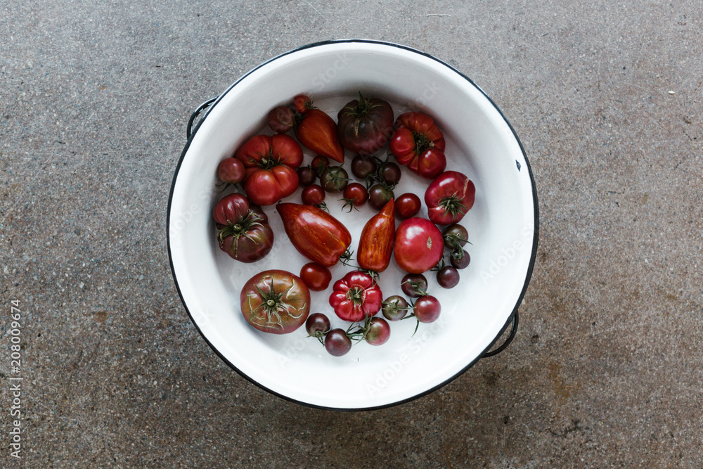 white bowl of freshly picked tomatoes on concrete floor white bowl of freshly picked tomatoes on concrete floor