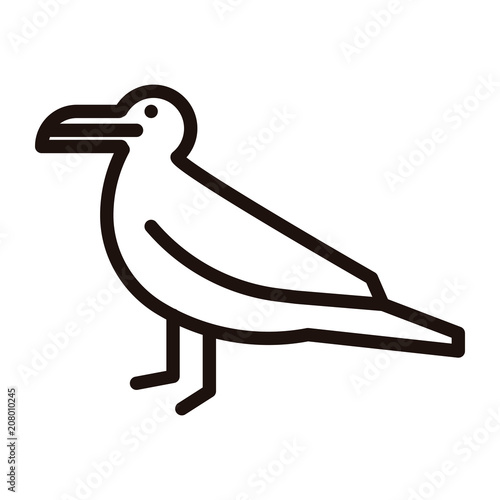 Seagull thin line stylized icon. Vector illustration of a sea bird