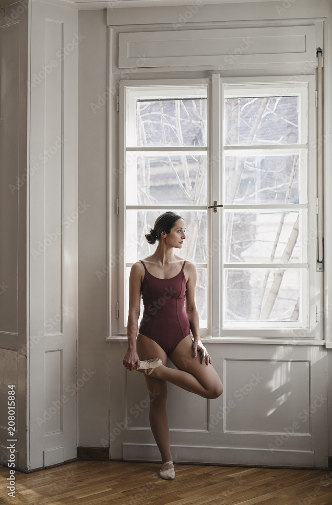 Portrait of Ballerina Portrait of Ballerina