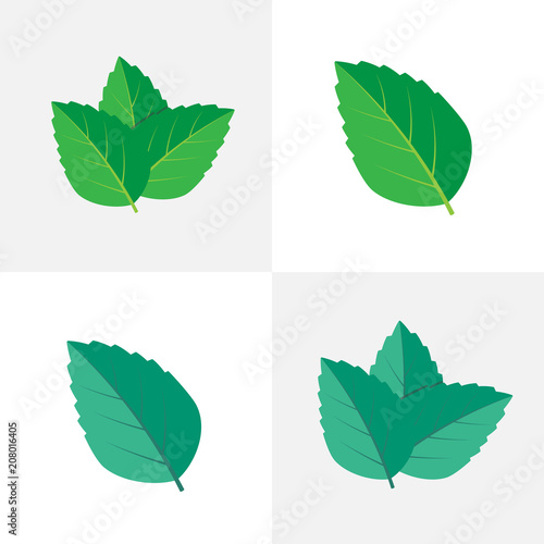 Mint green vector illustration. Mint leaves vector logo © 3dwithlove