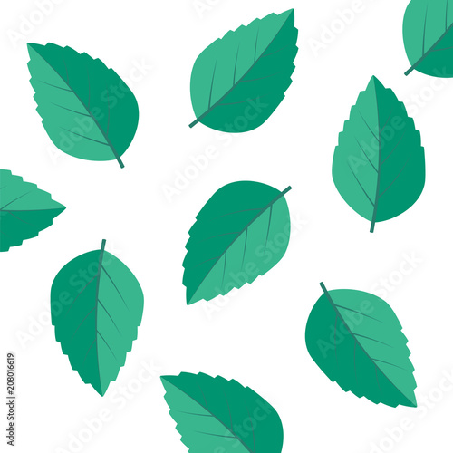 Vector menthol healthy aroma. Mint leaves vector logo