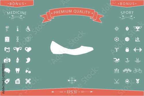 Ballerina flats - women shoe, the silhouette