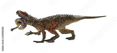 Carcharodontosaurus biting a dinosaur body with blood on white background