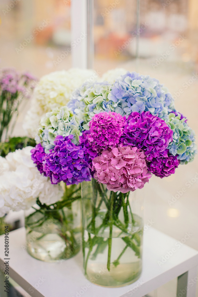 Bouquet of colorful hydrangea in vase in flower shop Bouquet of colorful hydrangea in vase in flower shop