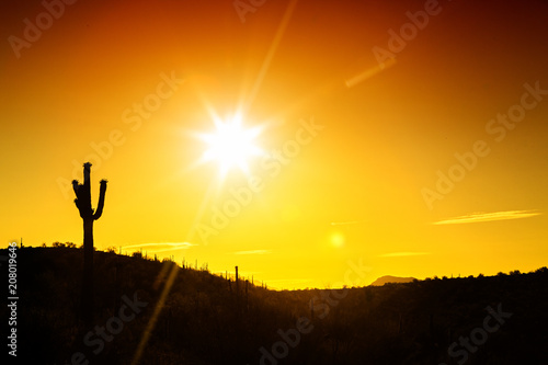 Phoenix Arizona Desert Sunset Silhouette