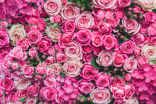 Rose background photo