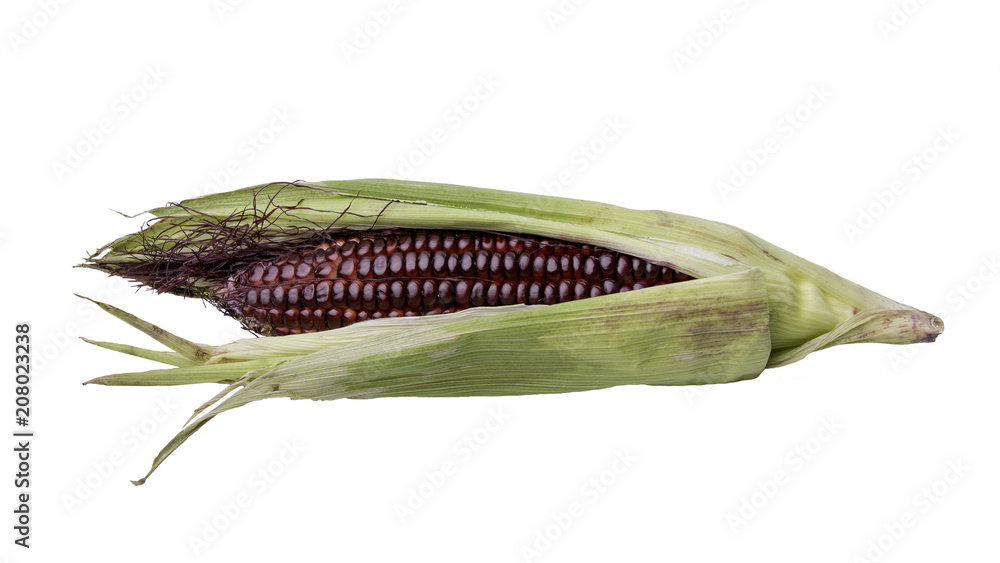red corn on white background, ingredient organic food