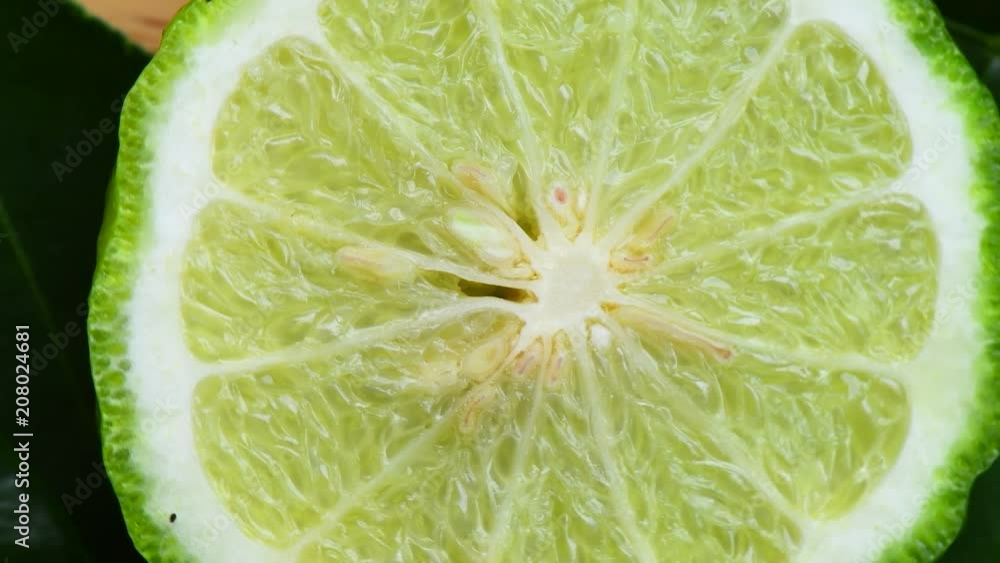 bergamot slice rotation
bergamot slice rotation