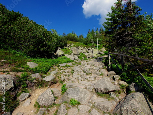 Kamienna ścieżka wiodąca przez polskie góry - szlakiem przez Karkonosze