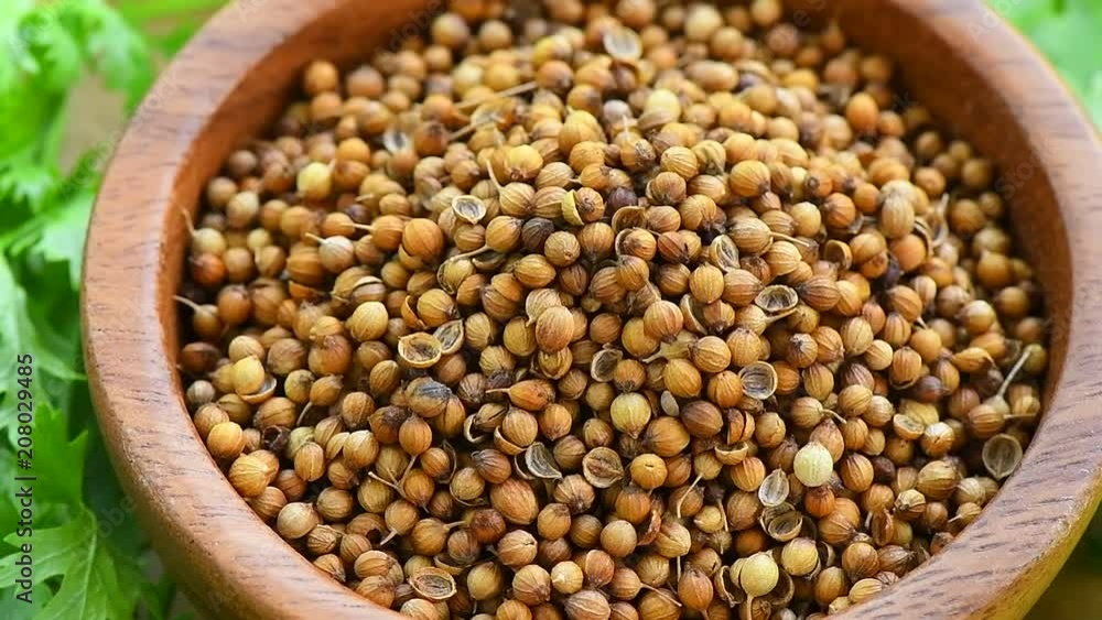 coriander seeds,ratation coriander seeds,ratation