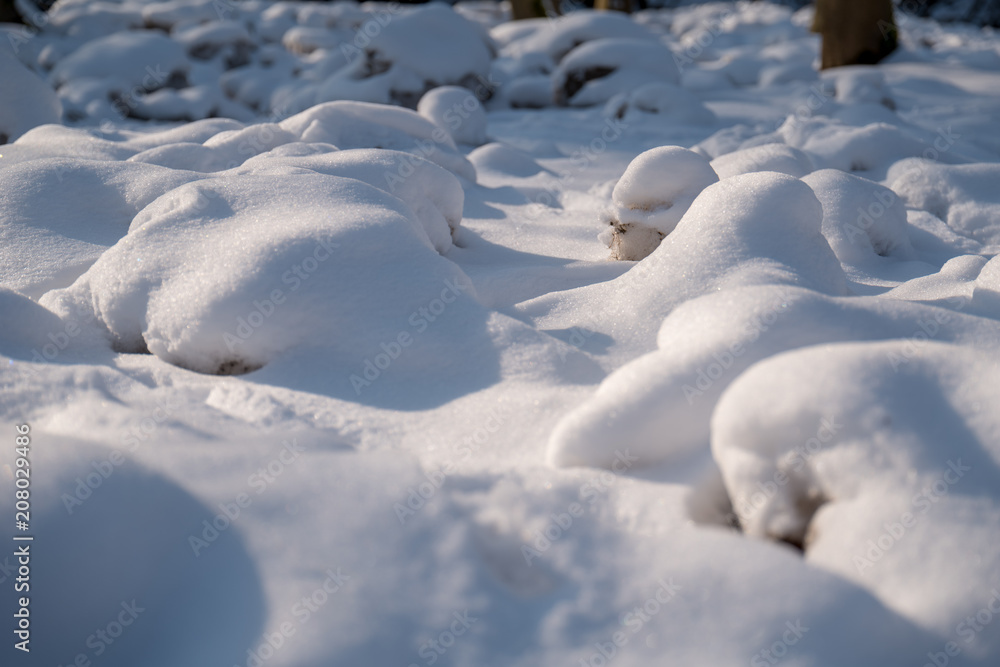 Obraz premium Rocks covered in snow
