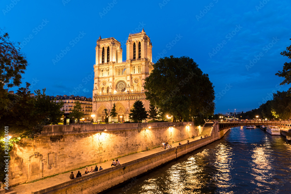 Seine Notre-Dame in Paris