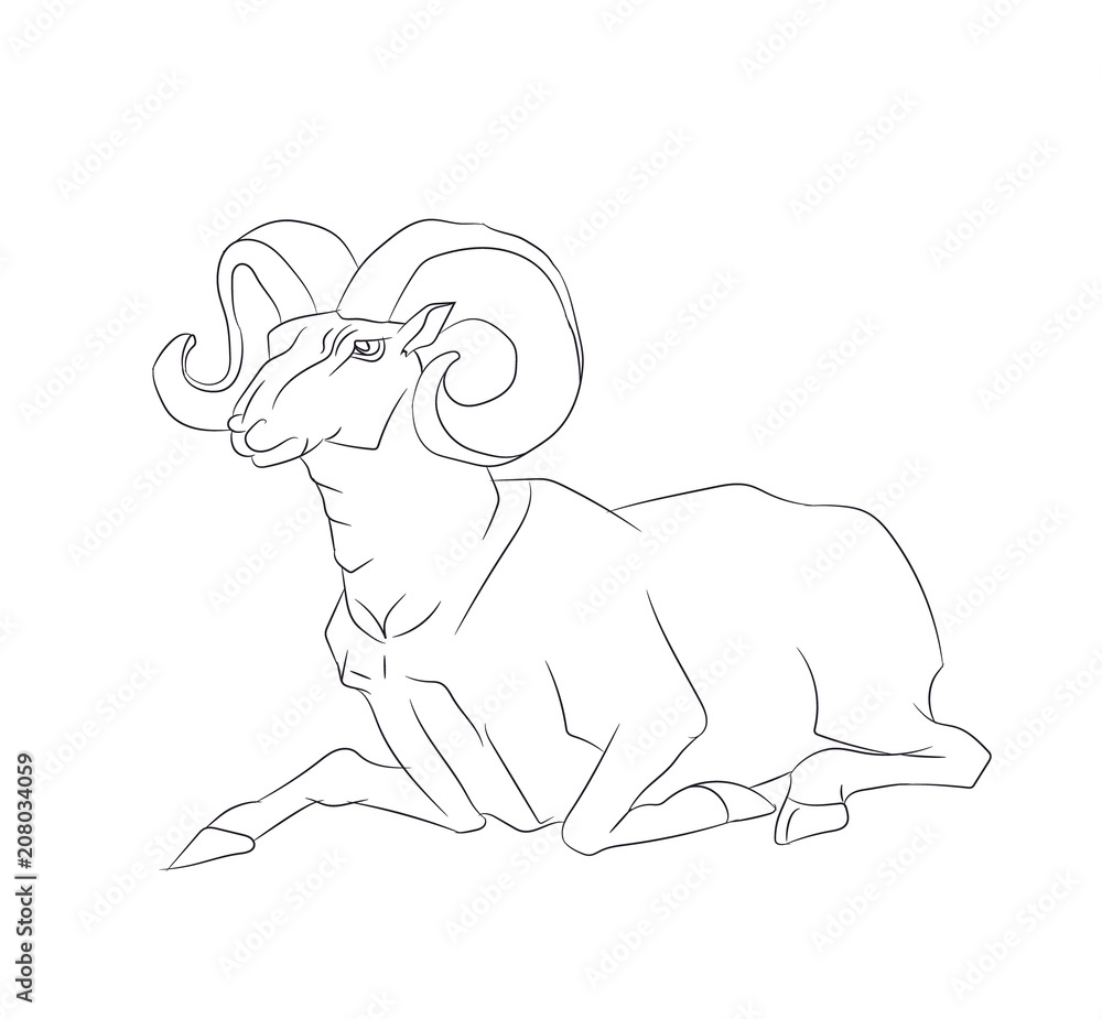 mountain ram lying, line, vector mountain ram lying, line, vector
