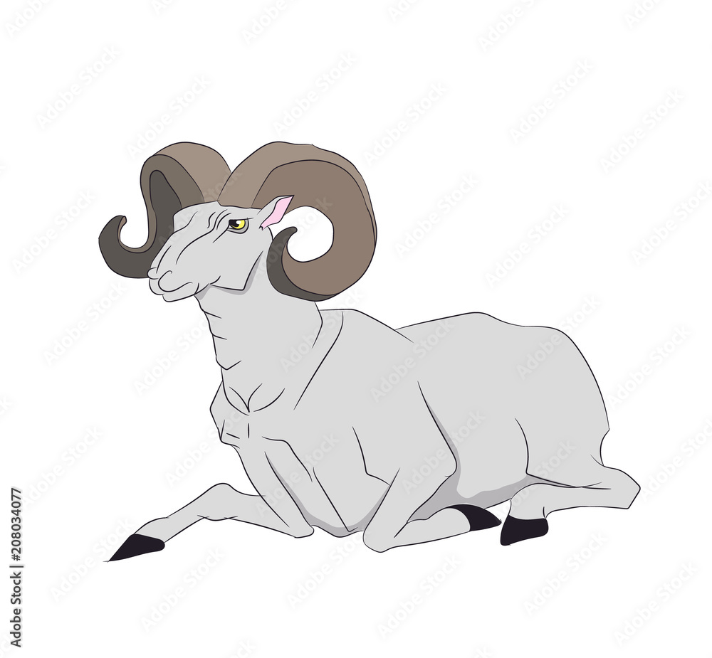 mountain ram lying, vector. mountain ram lying, vector.