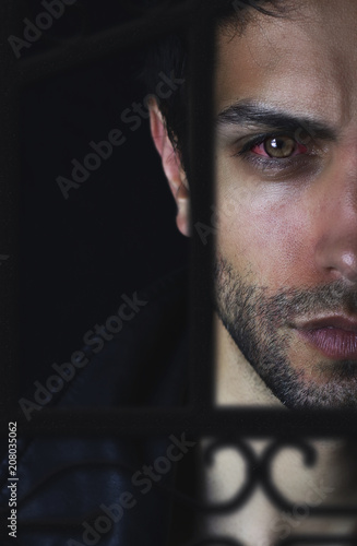 Portrait d' un beau vampire  Illustration pour un roman fantastique