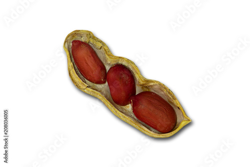 Three red peanuts in shell isolated on white background. Macro photo.