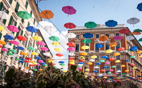 Genoa, old town: colored umbrellas decorating urban landscape (event: Euroflora 2018) 