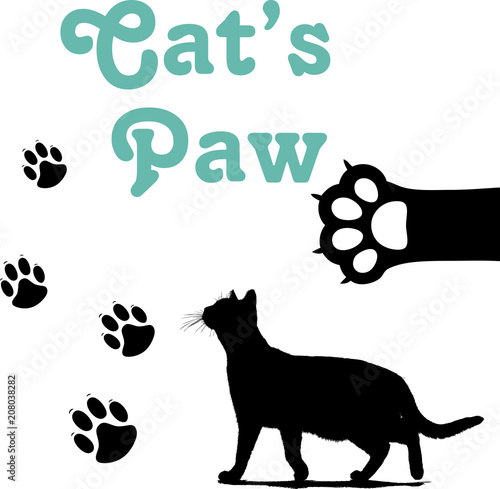 Cat's cat paw print animai vector  kitten black photo