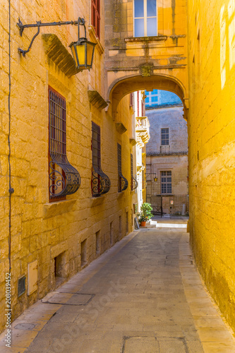 View of a narrow street in the old town of Mdina, Malta photo