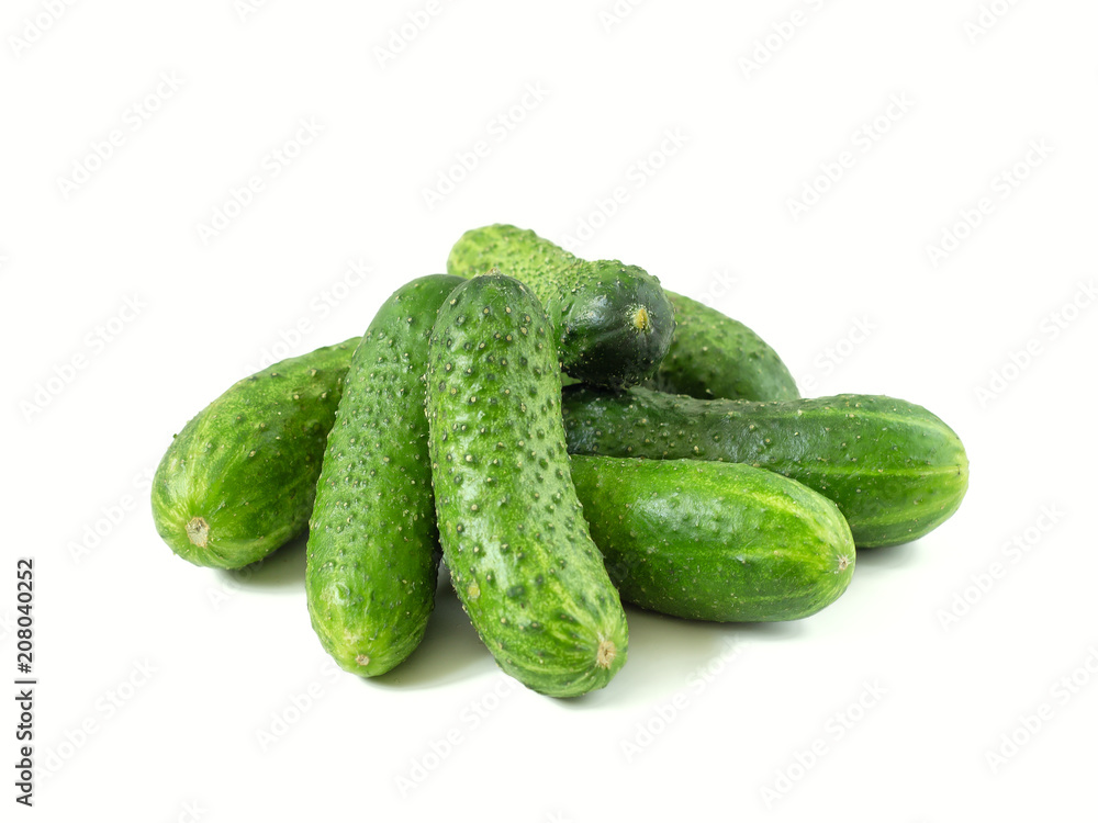 Young fresh cucumbers Young fresh cucumbers