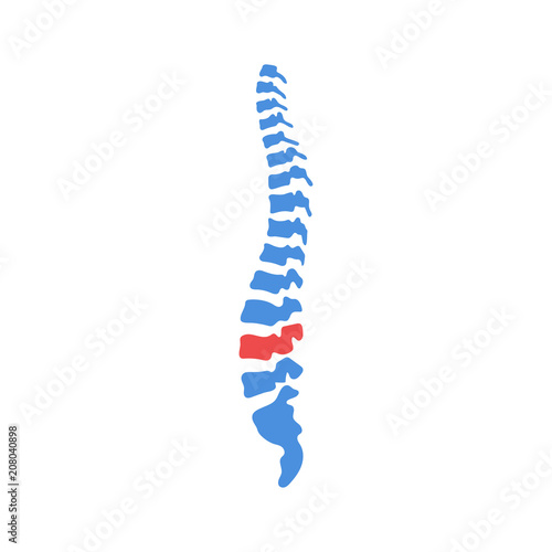 Vector human spine with pain