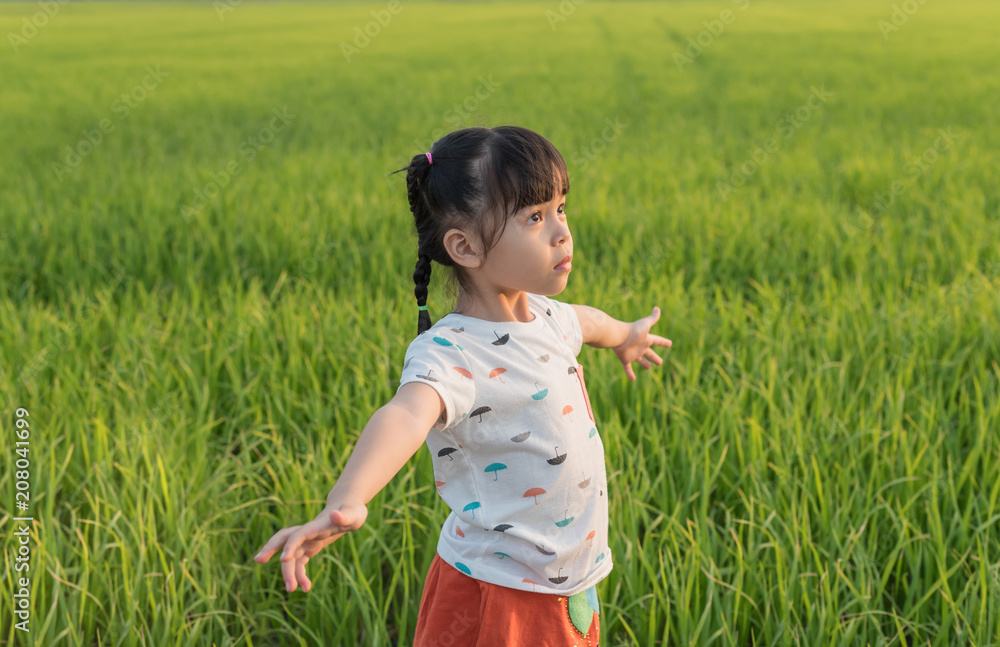 open arms little happy girl green meadow rice field open arms little happy girl green meadow rice field