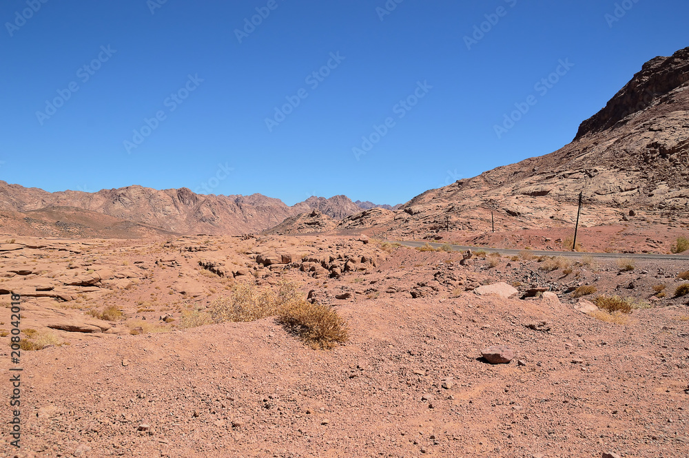 desert landscape, mountains of red sandstone, a plain covered with rare desert vegetation, a stretch of road with telegraph poles against the background of a cloudless blue sky desert landscape, mountains of red sandstone, a plain covered with rare desert vegetation, a stretch of road with telegraph poles against the background of a cloudless blue sky